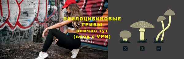 шишки Магадан
