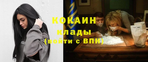 шишки Магадан