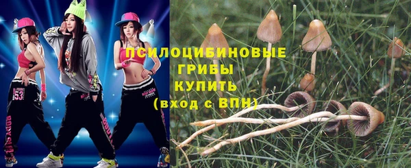 ешки Майский