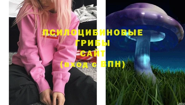 ешки Майский