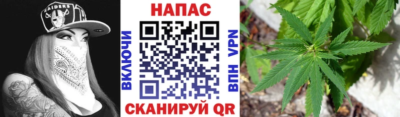 Марихуана тримм  Ленинградская 